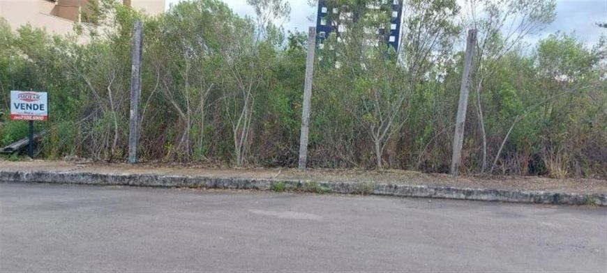 Dois excelentes terrenos próprios para prédios. Área: 1.173,73m. Confira!