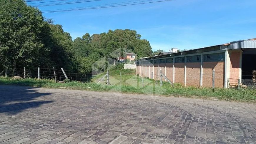 Lote/Terreno em BELA VISTA