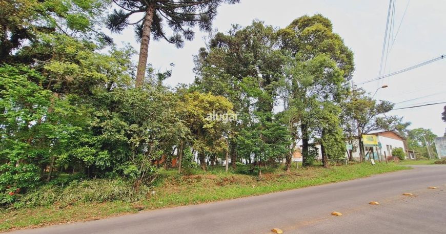 Terreno São Luiz Caxias do Sul