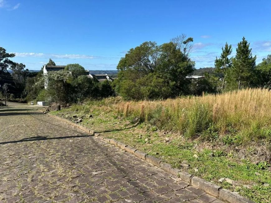 Terreno à venda, 564 m² por R$ 225.000,00 - São Luiz - Caxias do Sul/RS