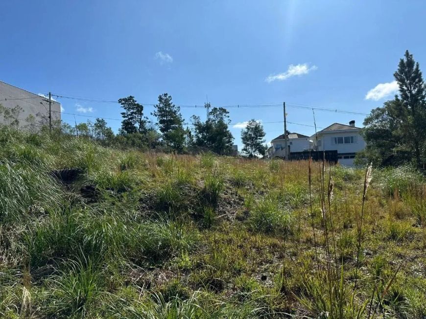 Terreno à venda, 564 m² por R$ 225.000,00 - São Luiz - Caxias do Sul/RS