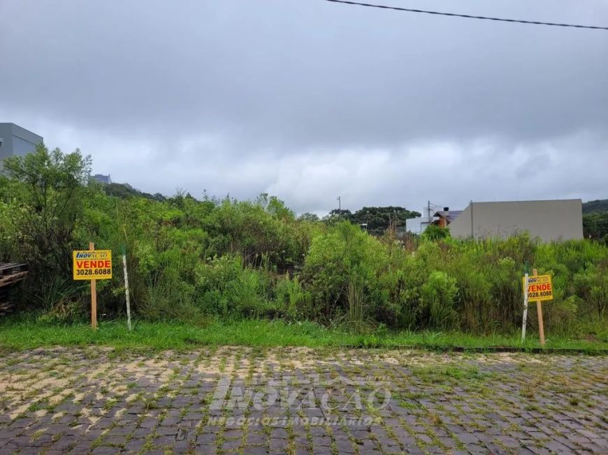 Terreno Vinhedos Caxias do Sul