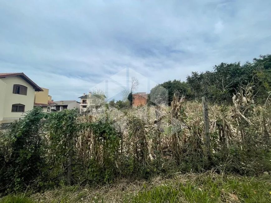 Lote/Terreno em COLINA SORRISO