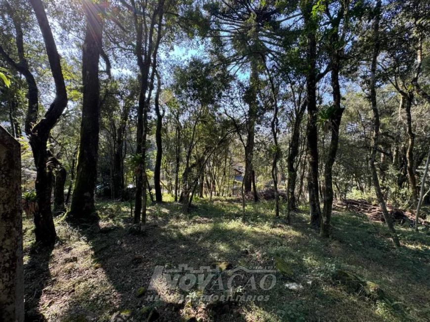 Terreno Linha 40 Caxias do Sul