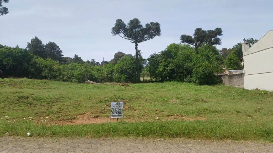 Venda de Terreno em Caxias do Sul-RS, bairro Vinhedos