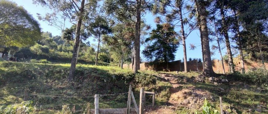 Terreno Santa Corona Caxias do Sul