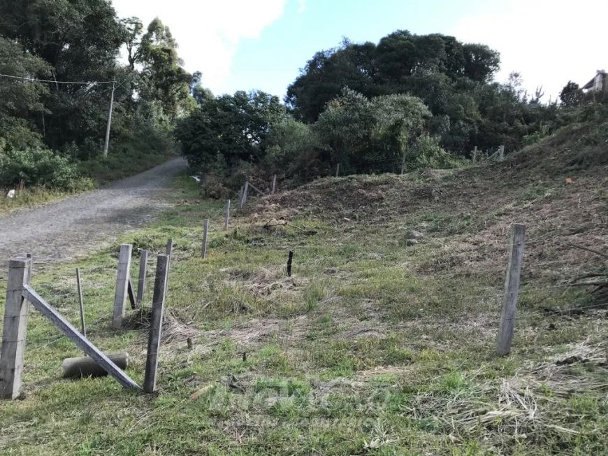 Terreno Desvio Rizzo Caxias do Sul