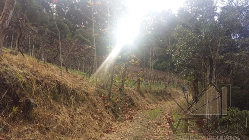 Venda de área de terra em Caxias do Sul, bairro Forqueta