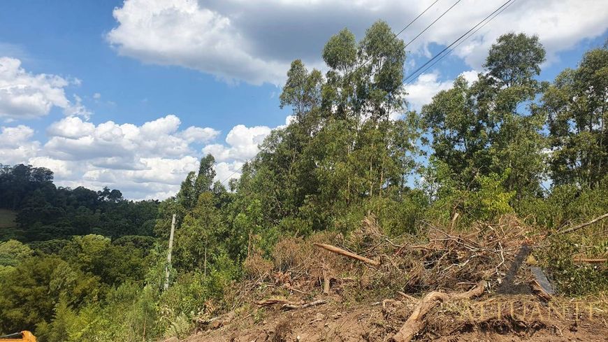 Terreno urbano 7.441,233 m² no bairro São Vitor