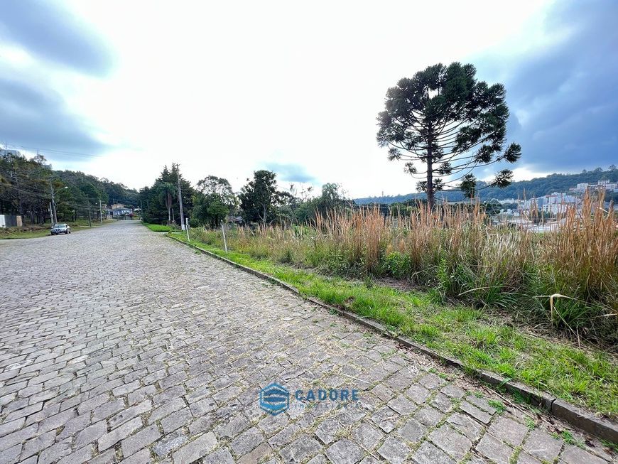 bairro Vinhedos terreno plano em área nobre