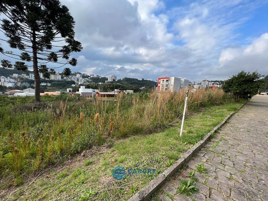 bairro Vinhedos terreno plano em área nobre