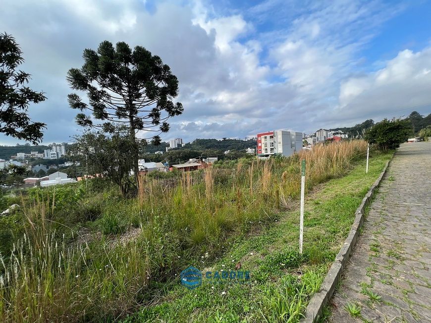 bairro Vinhedos terreno plano em área nobre