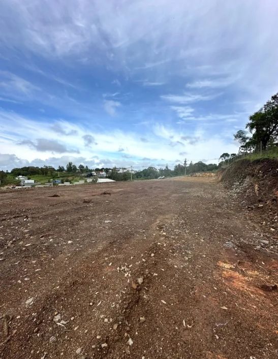 CAXIAS DO SUL - Terreno Padrão - SÃO VIRGÍLIO