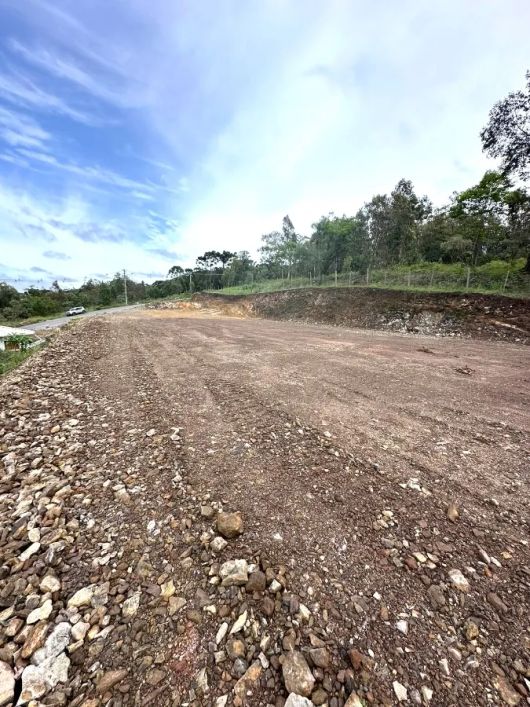 CAXIAS DO SUL - Terreno Padrão - SÃO VIRGÍLIO