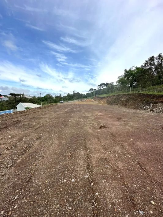 CAXIAS DO SUL - Terreno Padrão - SÃO VIRGÍLIO