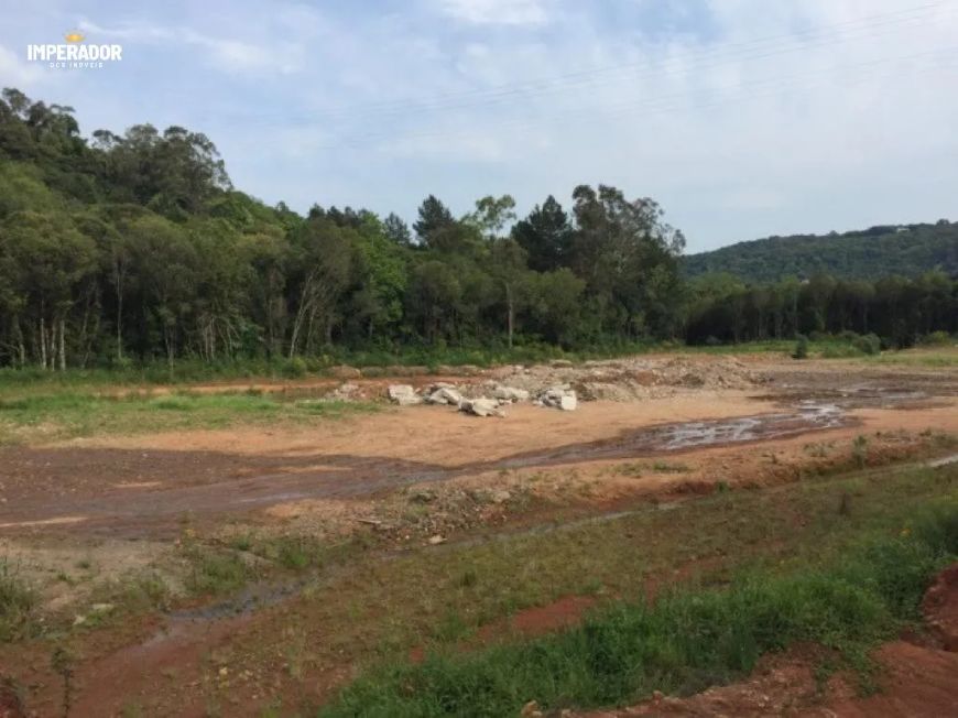 Terreno Industrial