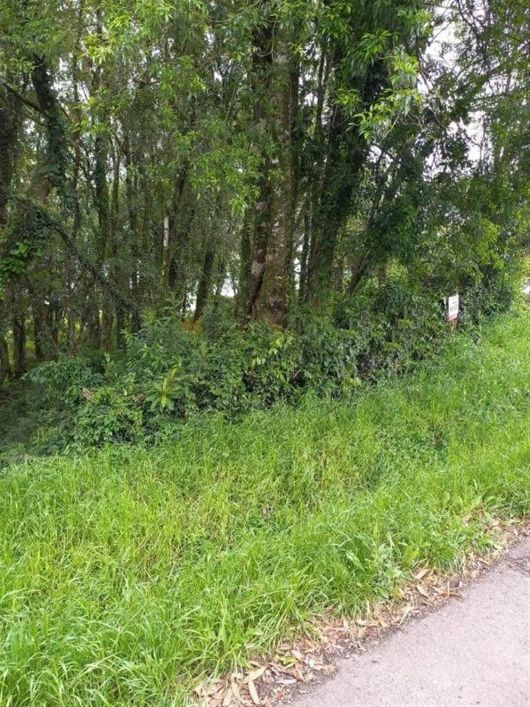 Amplo terreno no Bairro Colina Sorriso! Área: 12,21x42,00= 511,24m. Confira!