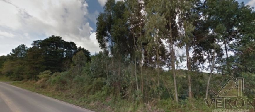 Venda de área de terra em Caxias do Sul, bairro Forqueta