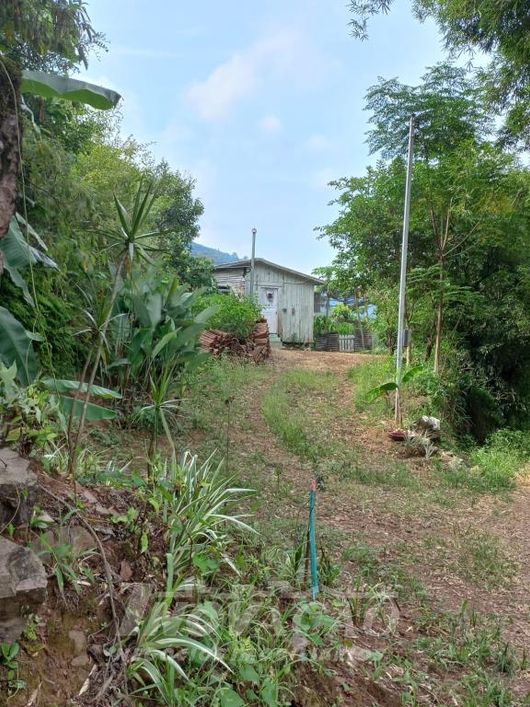Terreno Galópolis Caxias do Sul
