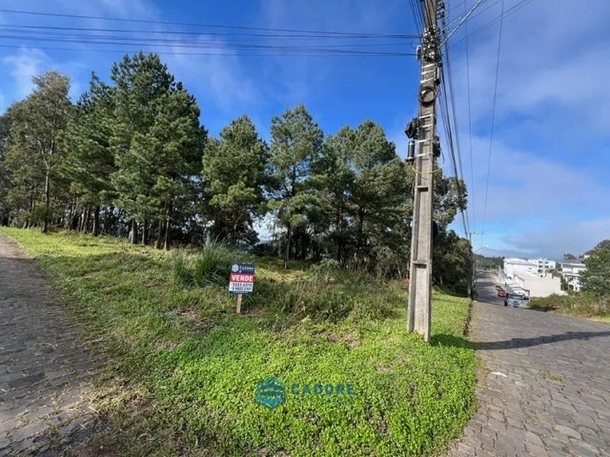 bairro Desvio Rizzo, terreno de esquina 685 m²
