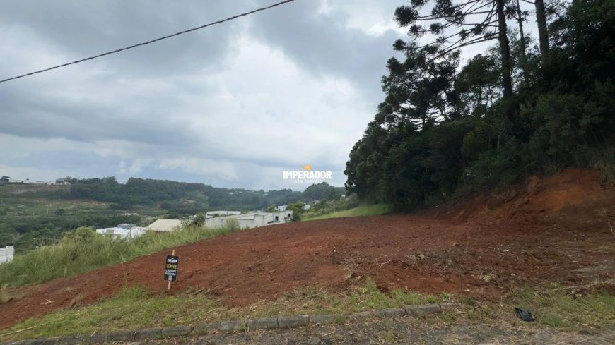 Terreno em Monte Bérico Boa Vista