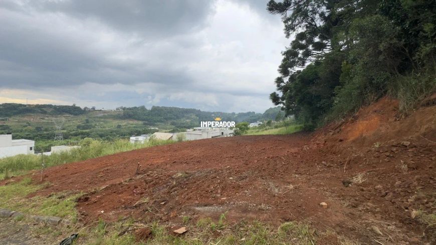 Terreno em Monte Bérico Boa Vista