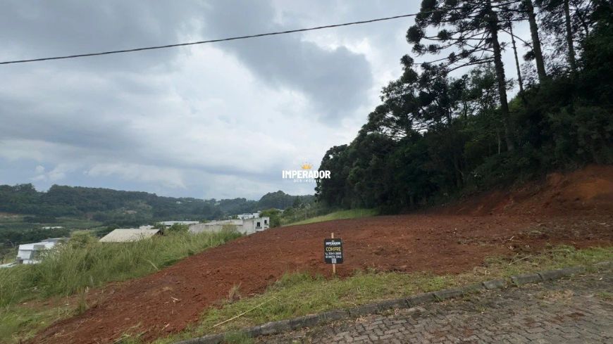 Terreno em Monte Bérico Boa Vista