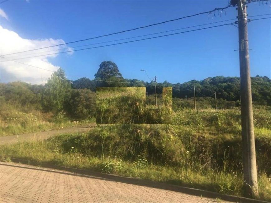 Ótimos terrenos planos de esquina no Bairro Monte Bérico! Área: 30x24= 720,00m. Confira!