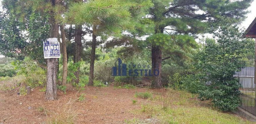 Terreno à venda, 360 m² por R$ 265.000,00 - Forqueta - Caxias do Sul/RS