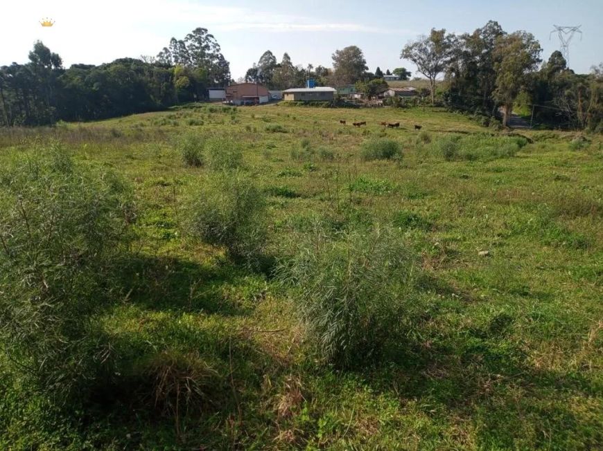 Área no bairro Galópolis