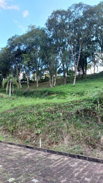 Venda de Terreno em Condomínio em Caxias do Sul-RS, bairro Linha 40