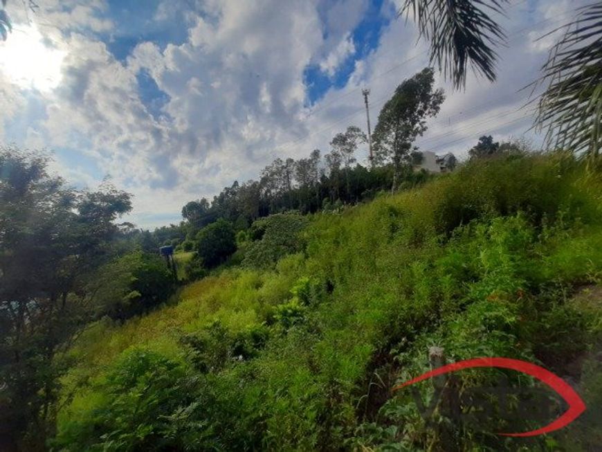 CAXIAS DO SUL - Terreno Padrão - NOSSA SENHORA DA SAUDE