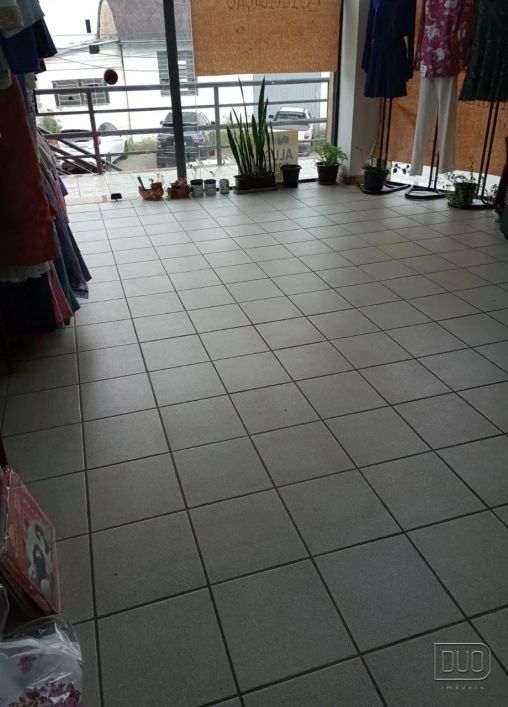 Sala Terrea/Loja,bairro Pio X