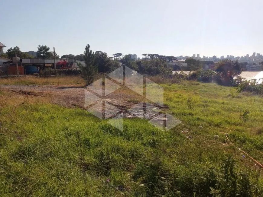 Lote/Terreno em SALGADO FILHO