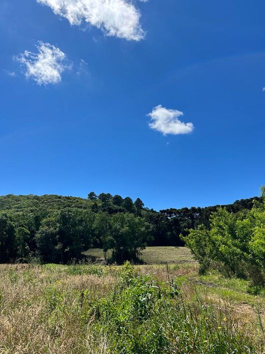 Fazenda/Sítio/Chácara para venda possui 20000 metros quadrados com 1 quarto
