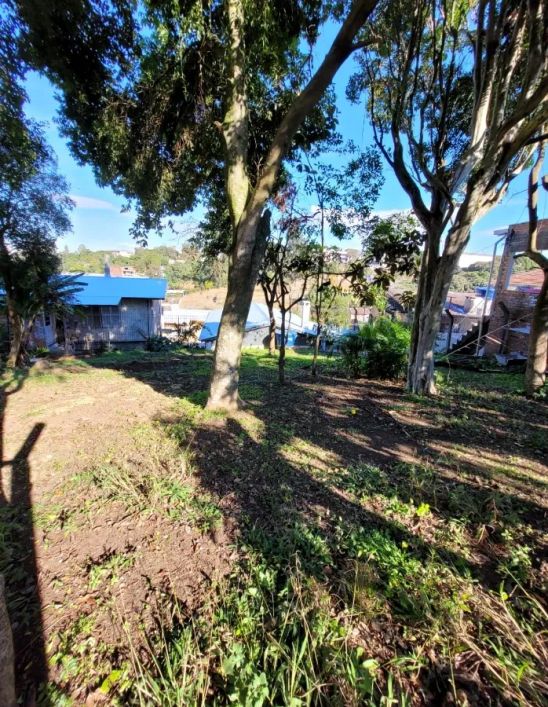 CAXIAS DO SUL - Terreno Padrão - RIO BRANCO