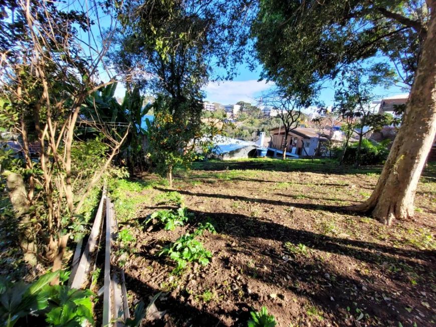 CAXIAS DO SUL - Terreno Padrão - RIO BRANCO