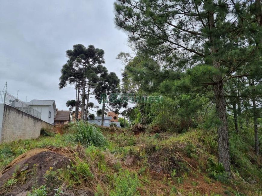 Terreno São Virgílio Caxias do Sul