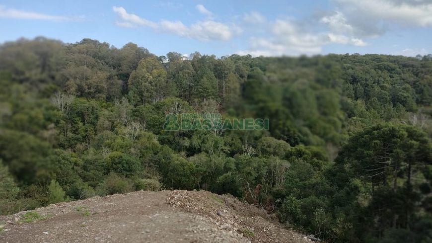 Terreno São Giácomo Caxias do Sul