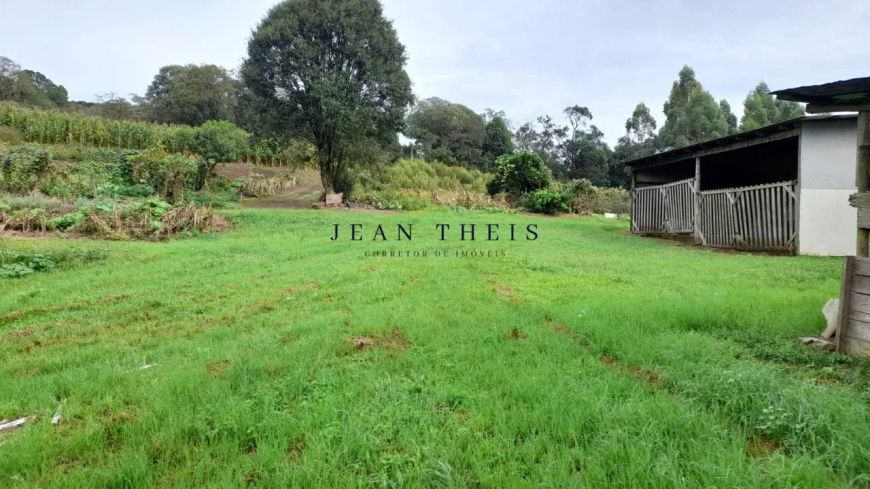 Área de terra na Rota do Sol - Ana Rech
