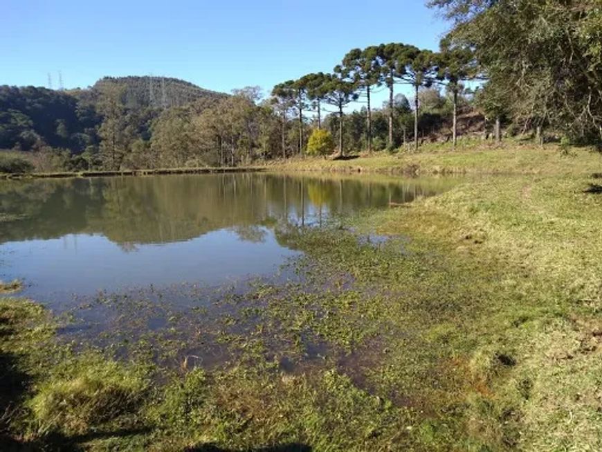 Área à venda, 24915 m² por R$ 430.000,00 - Segunda Légua - Caxias do Sul/RS