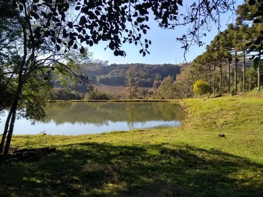 Área à venda, 24915 m² por R$ 430.000,00 - Segunda Légua - Caxias do Sul/RS