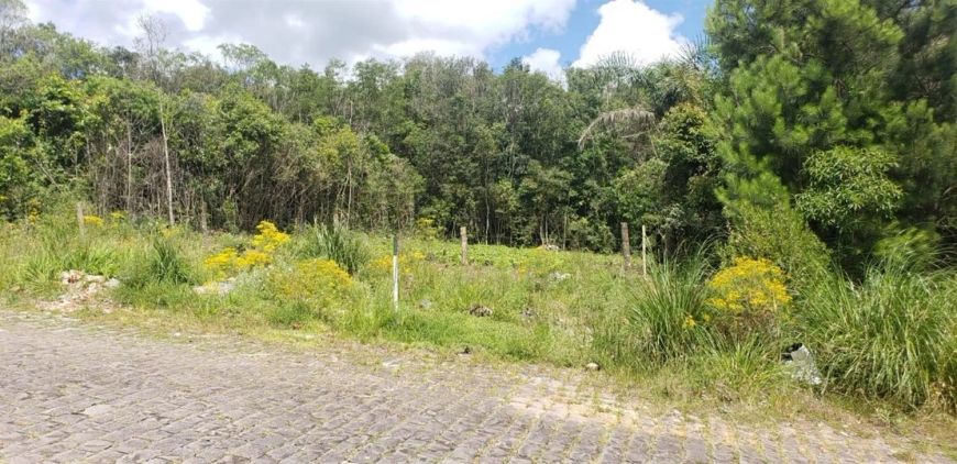 Ótimo terreno no Bairro Desvio Rizzo!! Área: 12x30 = 360,00m. Confira!!