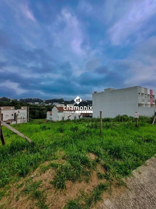 TERRENO - VINHEDOS (360M²)