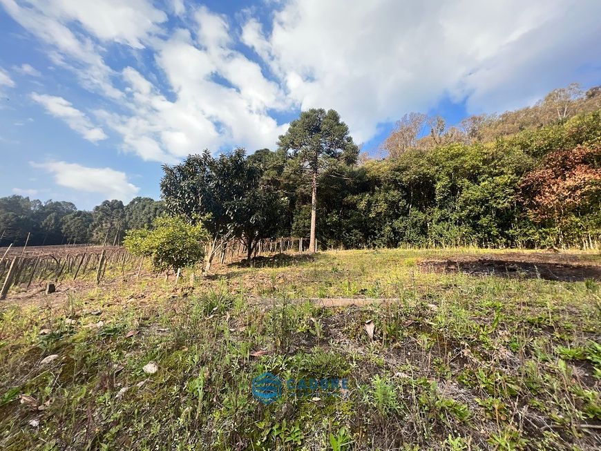 Área de terras em Monte Bérico são 10 Hectares