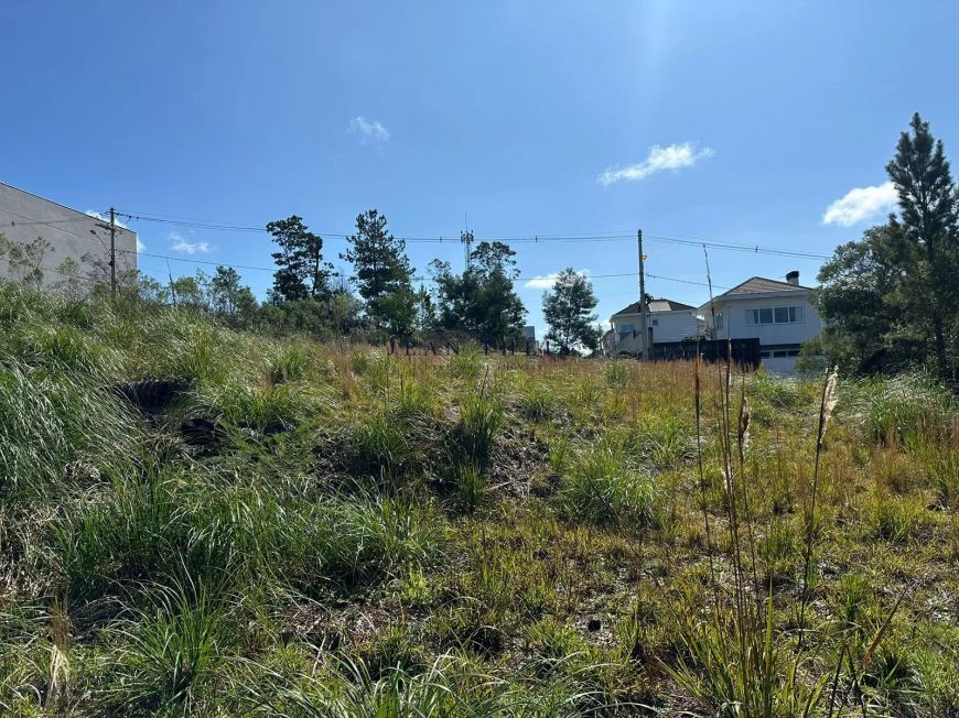 Terreno à venda no bairro São Luiz