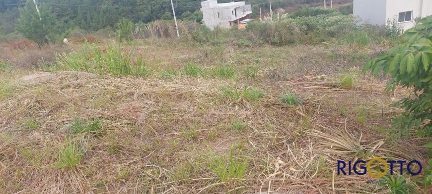 Terreno Bairro Industrial