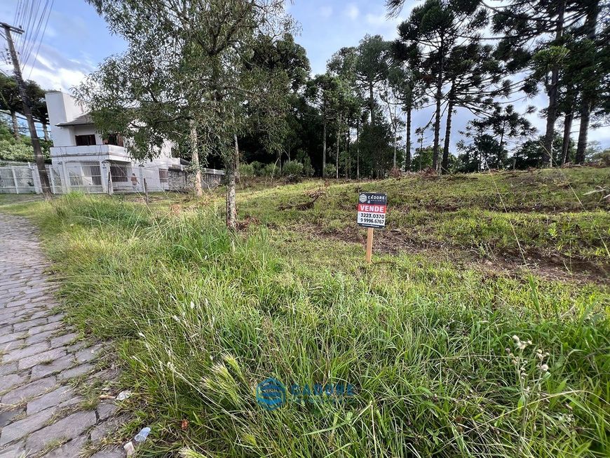 Oportunidade terreno a venda com 498m² Bela Vista,