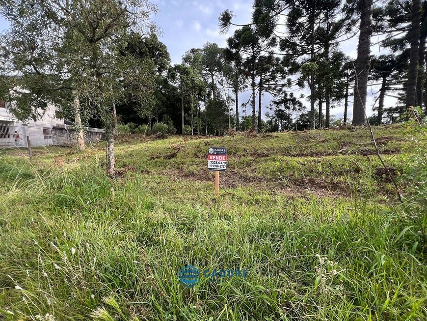 Oportunidade terreno a venda com 498m² Bela Vista,