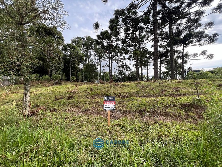 Oportunidade terreno a venda com 498m² Bela Vista,